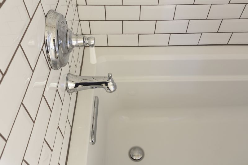 Accessible Bathing detail